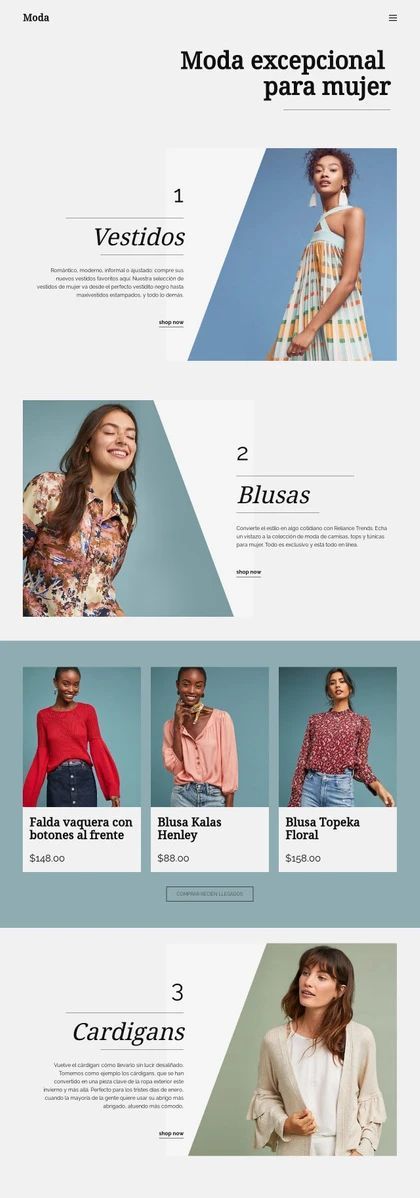Moda Para Mujer Plantilla De Sitio Web