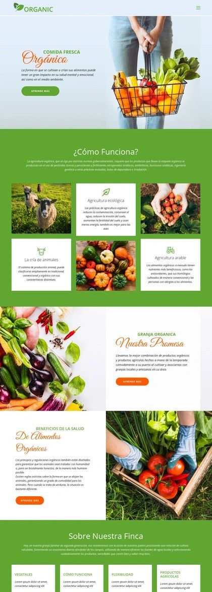 Come La Mejor Comida Orgánica Plantilla De Sitio Web