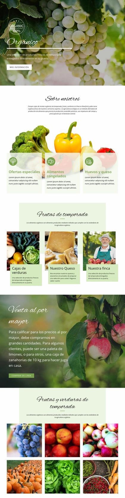 Más Saludable Con Alimentos Orgánicos Plantilla De Sitio Web