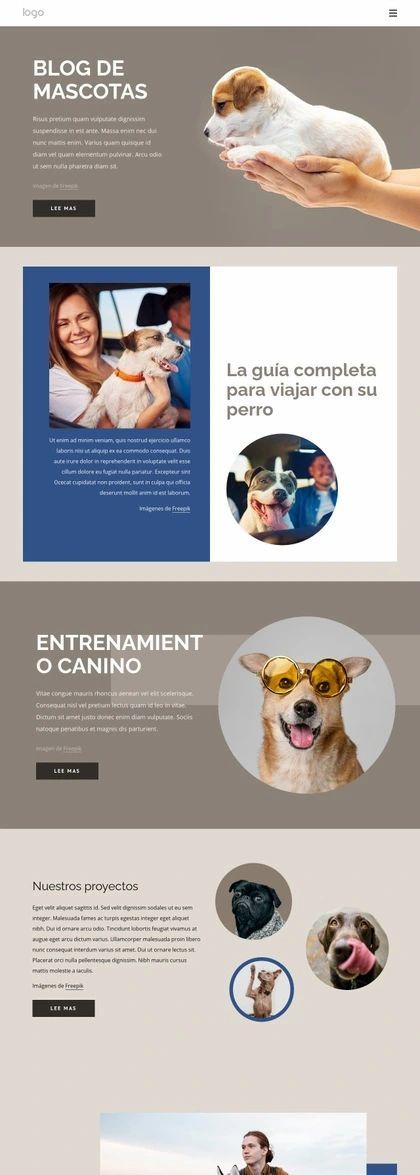 Blog De Mascotas Plantilla De Sitio Web